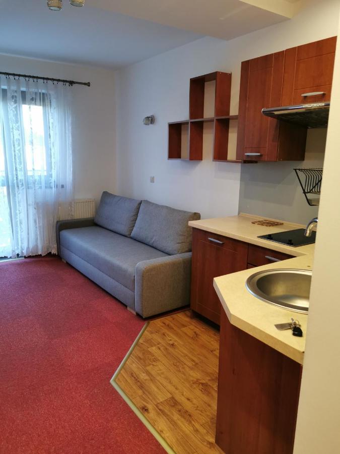 Rezydencja Kwiatano - Basen&Jacuzzi&Sauna&Plac Zabaw Grzybowo  Zewnętrze zdjęcie